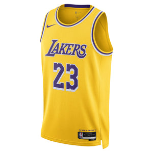LeBron James Los Angeles Lakers 2024 Icon Edition NBA Swingman Jersey