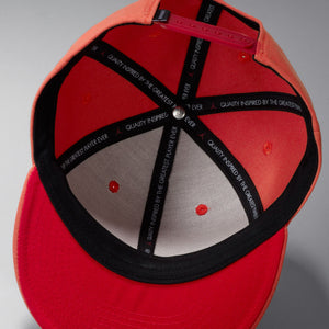 Jordan Pro Jumpman 'Lobster' Snapback Hat