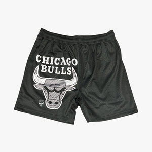 Chicago Bulls Apollo Mesh Team Logo NBA Shorts