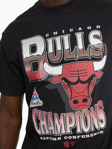 Chicago Bulls Metallic Vintage T-Shirt