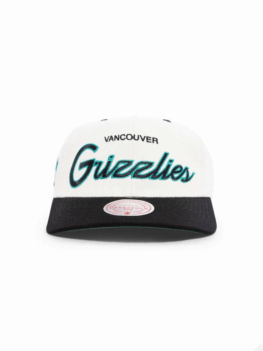 Vancouver Grizzlies Team Ground 2.0 NBA Snapback Hat – Basketball Jersey  World