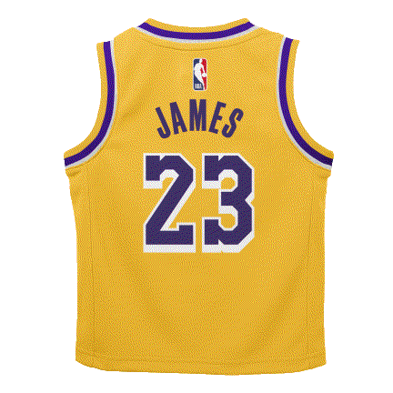 Lebron James Los Angeles Lakers 2024 Icon Edition Toddler NBA Jersey Basketball Jersey World