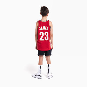 LeBron James Rookie Cleveland Cavaliers HWC Youth NBA Swingman Jersey