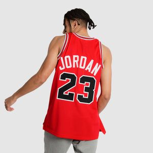Michael Jordan Chicago Bulls Premium 1988-89 NBA Authentic Jersey