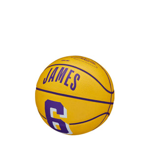 LeBron James Los Angeles Lakers Player Icon Mini NBA Basketball