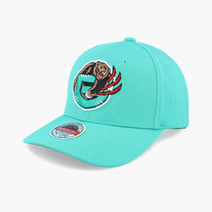 Vancouver Grizzlies Team Ground 2.0 NBA Snapback Hat