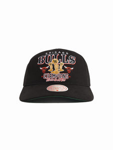 Chicago Bulls Champs Trophy Deadstock NBA Snapback Hat