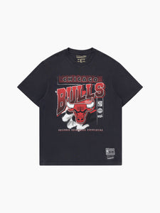Chicago Bulls Vintage Brush Off 2.0 NBA T-Shirt
