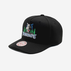 Minnesota Timberwolves Team Logo MVP NBA Snapback Hat