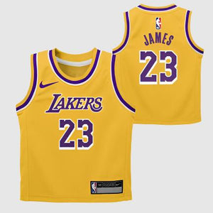 Lebron James Los Angeles Lakers 2024 Icon Edition Toddler NBA Jersey