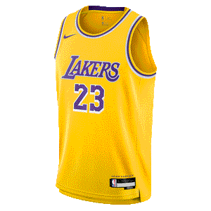 Lebron James Los Angeles Lakers 2024 Icon Edition Youth NBA Swingman Jersey