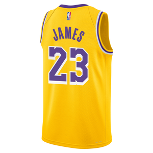 Lebron James Los Angeles Lakers 2024 Icon Edition Youth NBA Swingman Jersey