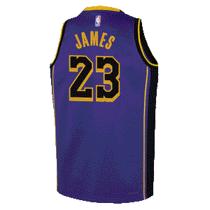 LeBron James LA Lakers 2025 Statement Edition Youth NBA Swingman Jersey