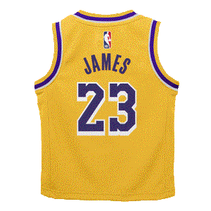 Lebron James Los Angeles Lakers 2024 Icon Edition Toddler NBA Jersey
