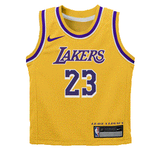 Lebron James Los Angeles Lakers 2024 Icon Edition Toddler NBA Jersey