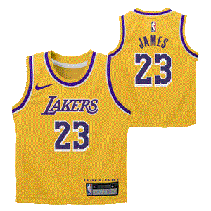 LeBron James Los Angeles Lakers 2024 Icon Edition Infant NBA Jersey