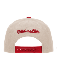San Francisco 49ers Evergreen Team Colour Pro Pinch NBA Snapback Hat