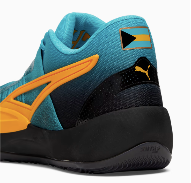 Deandre top ayton pumas