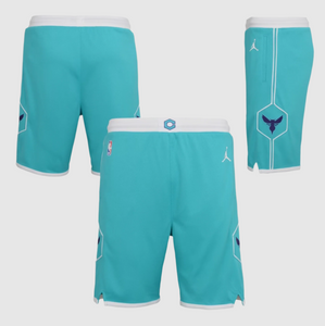 Charlotte Hornets 2024 Icon Edition Swingman Youth NBA Shorts