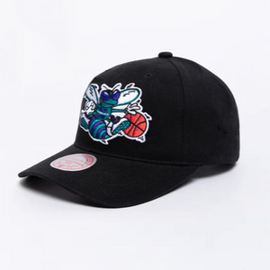 Charlotte Hornets Team Colour Pro Pinch NBA Snapback Hat