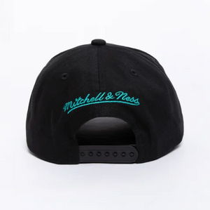 Charlotte Hornets Team Colour Pro Pinch NBA Snapback Hat