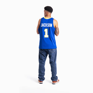 Stephen Jackson Indiana Pacers HWC Throwback NBA Swingman Jersey