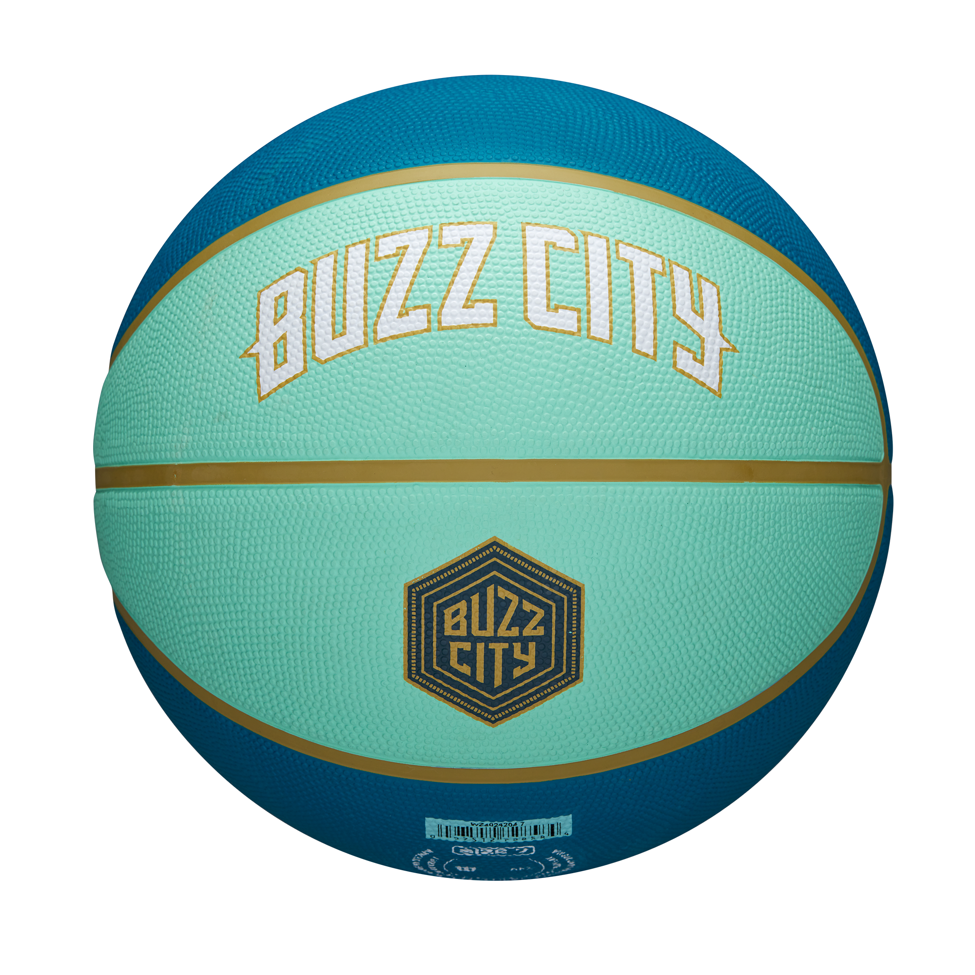 Charlotte Hornets 2024 City Edition NBA Basketball – Basketball