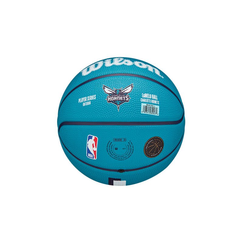 Mini Canasta Wilson NBA Charlotte Hornets