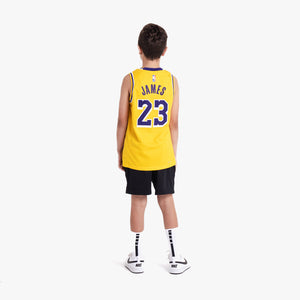 Lebron James Los Angeles Lakers 2024 Icon Edition Youth NBA Swingman Jersey