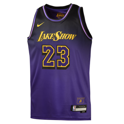 Lebron james lakers kids jersey sales