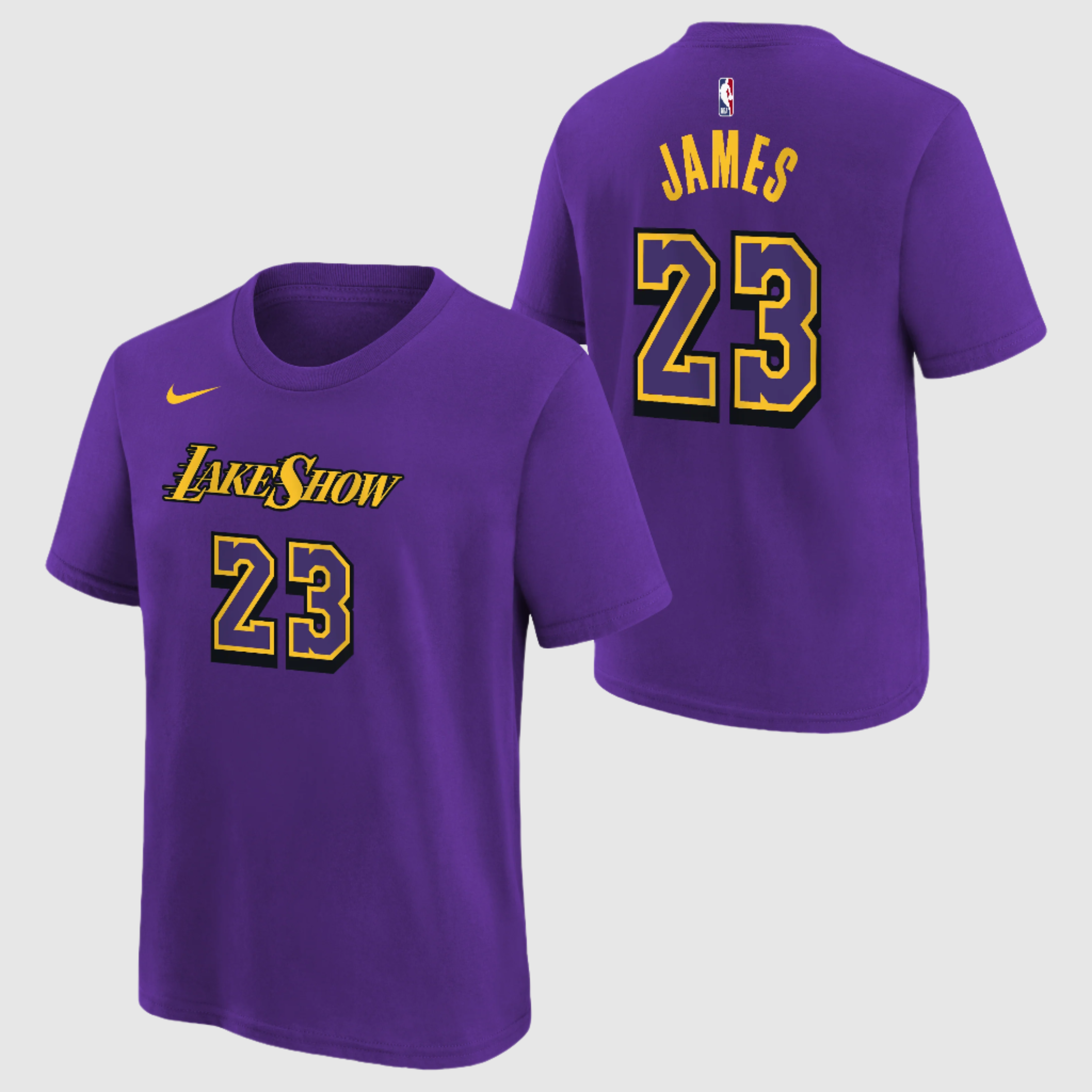 LeBron James discharged Lakers Youth