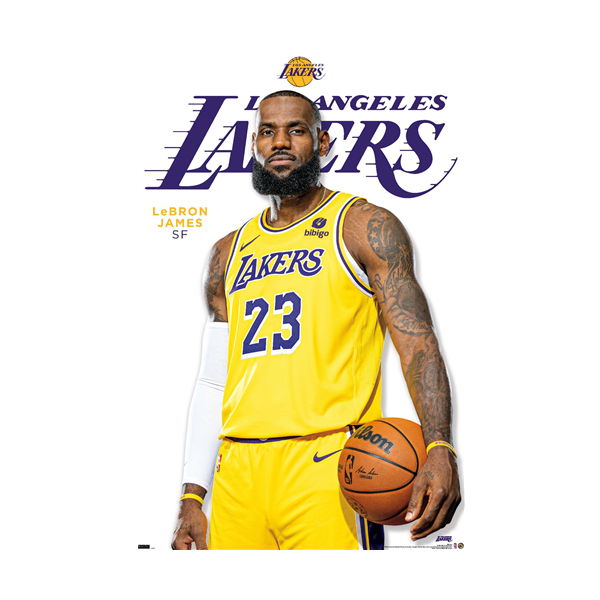 Lebron James Los Angeles Lakers 23 NBA Wall Poster Basketball