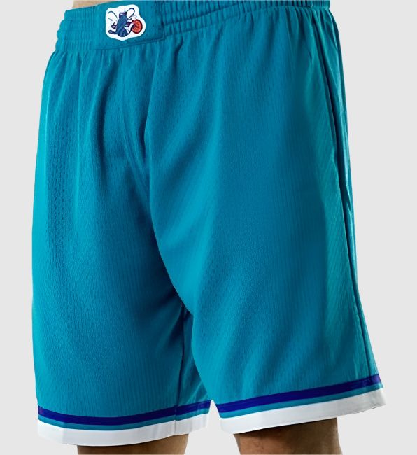 Charlotte Hornets Shorts Men´ 3XL NBA Mitchell & Ness Hardwood
