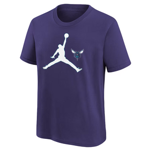 Charlotte Hornets Jordan Brand Essential Swoosh Youth NBA T-Shirt