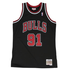 Dennis Rodman Chicago Bulls Hardwood Classics Throwback NBA Swingman Jersey