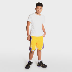 Los Angeles Lakers 2024 Icon Edition Swingman Youth NBA Shorts