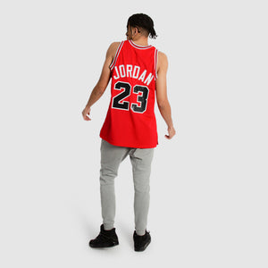 Michael Jordan Chicago Bulls Premium 1988-89 NBA Authentic Jersey