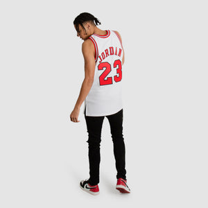 Michael Jordan Chicago Bulls Premium 1995-96 NBA Authentic Jersey