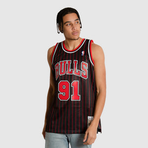 Dennis Rodman Chicago Bulls Pinstripe Throwback NBA Swingman Jersey