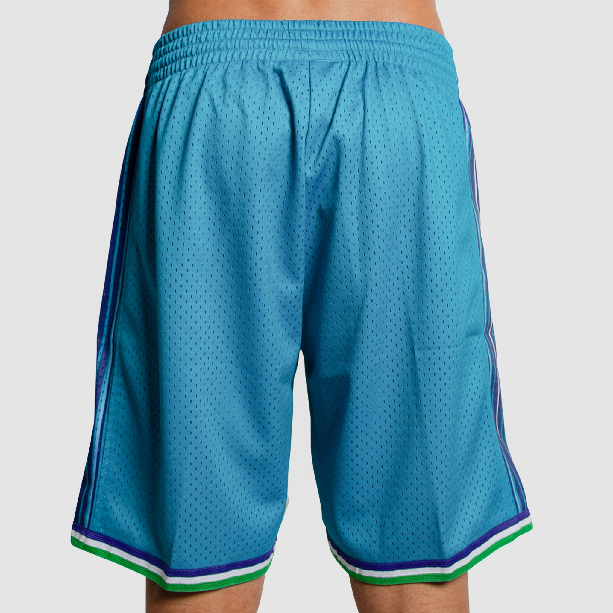 Charlotte Hornets Summer Edition Old School Retro Basketball Team Shorts  M-XL