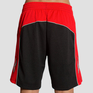 Toronto Raptors 2012-13 Hardwood Classics Throwback Swingman NBA Shorts