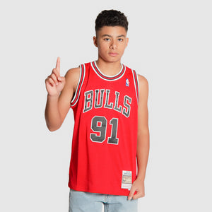 Dennis Rodman Chicago Bulls HWC Youth NBA Swingman Jersey