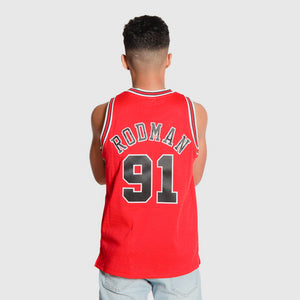 Dennis Rodman Chicago Bulls HWC Youth NBA Swingman Jersey