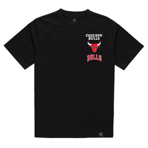 Chicago Bulls Flagstaff NBA T-Shirt