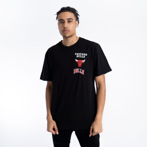 Chicago Bulls Flagstaff NBA T-Shirt