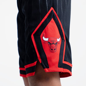 Chicago Bulls 2024 Statement Edition Swingman Youth NBA Shorts