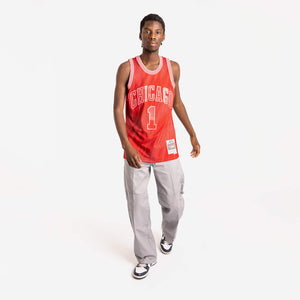 Derrick Rose Chicago Bulls Monochrome NBA Swingman Jersey