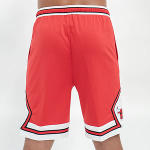 Chicago Bulls 2024 Icon Edition Swingman Youth NBA Shorts