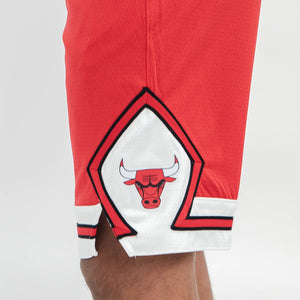 Chicago Bulls 2024 Icon Edition Swingman Youth NBA Shorts