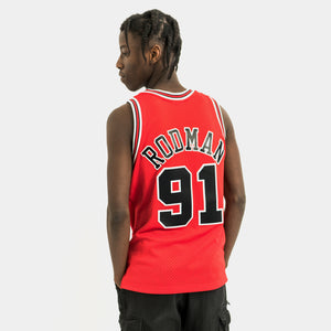 Dennis Rodman Chicago Bulls Throwback NBA Swingman Jersey